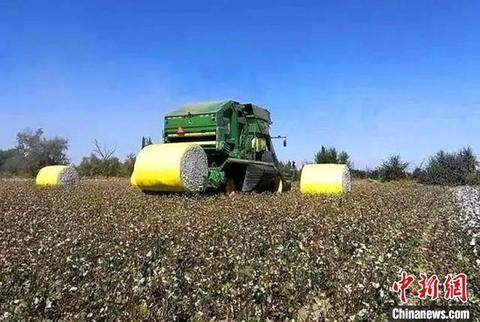 新疆兵团：智慧农业助力棉花种植